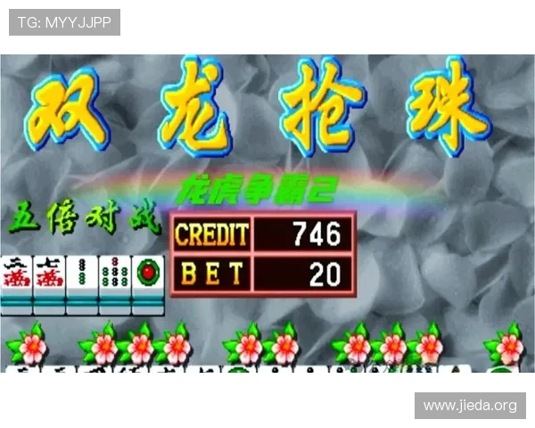 出龙和虎的玩法攻略：新手必看全面提升战斗策略